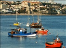 The sea and the fishing boats